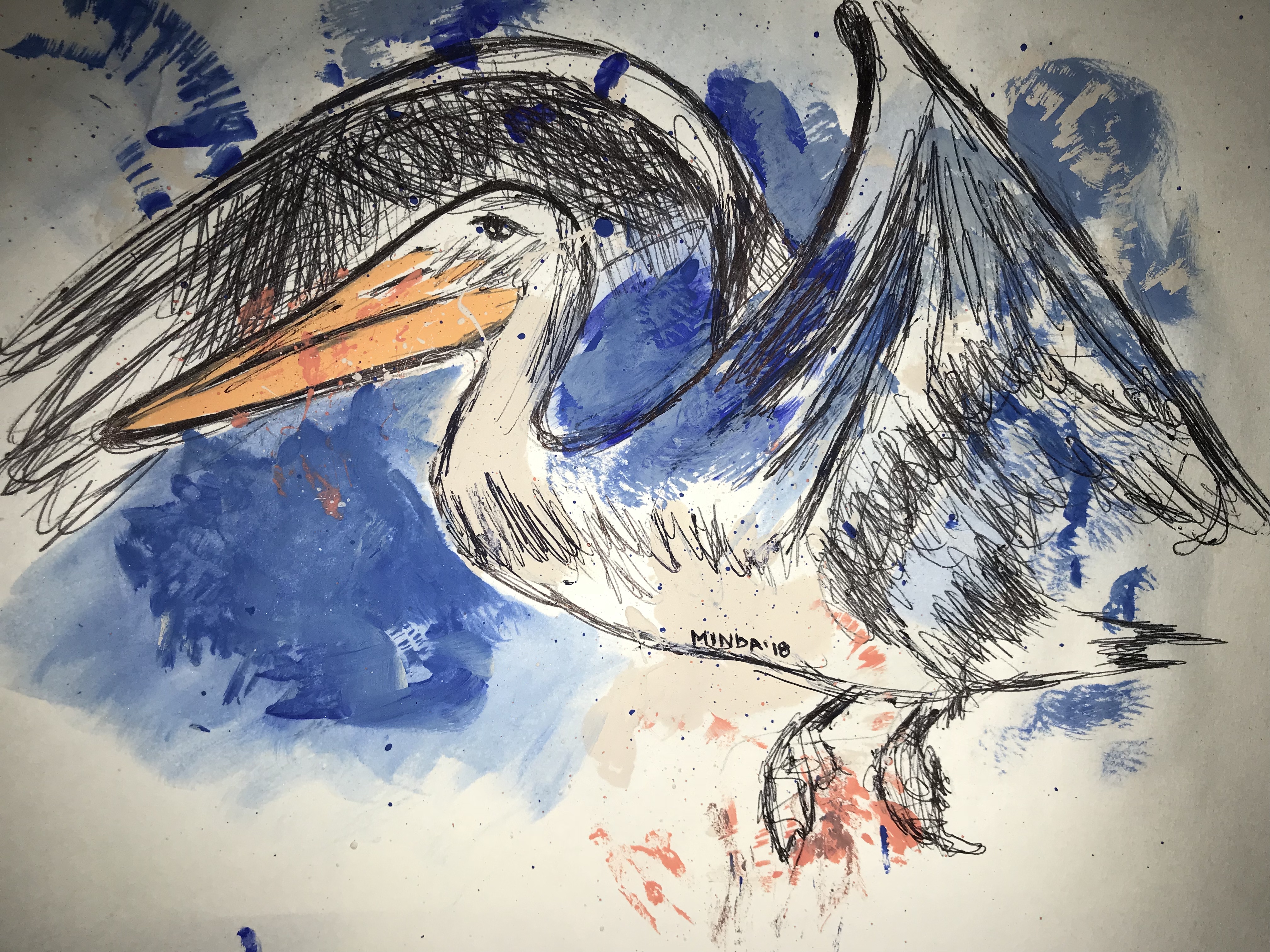 Drawing of Pelican